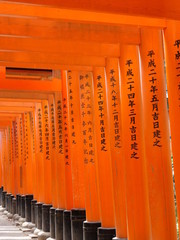 Japanisches Tore Torii Shrine Orange Gates