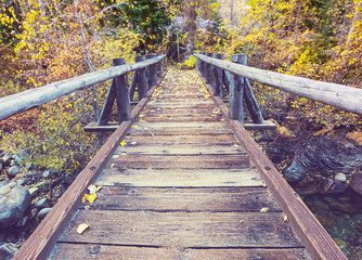 Fototapeta premium Boardwalk in autumn forest