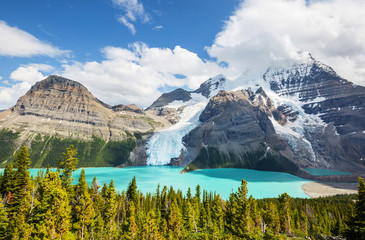 Mt Robson