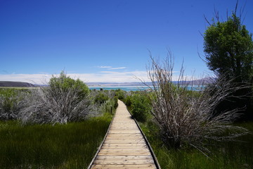 wooden walkway to the lake