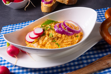 The perfect Bavarian obazda with radishes and onions