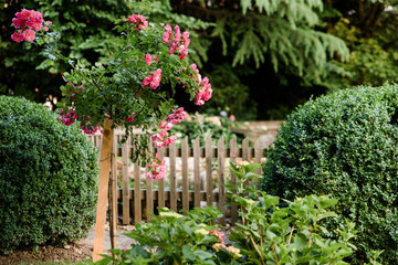 Summer garden with hanging hammock for relaxation