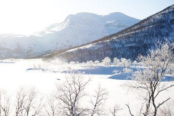beautiful Norwegian landscape