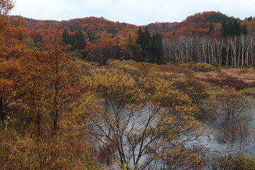 紅葉の山　恩原高原
