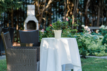 Summer garden with hanging hammock for relaxation