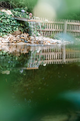 aquatic garden with planted rockery and waterfalls creating a water feature
