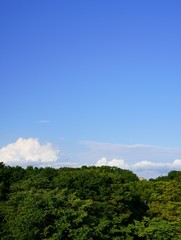 自宅の敷地から見た青空
