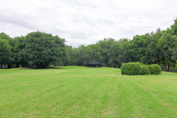 The grass field and the trees in the park are bright green.