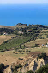 Panoramic view of olive groves and farms on rolling hills of Abruzzo and in the background the Adriatic Sea. Italy