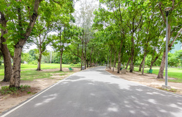 Garden walkways with natural looking trees