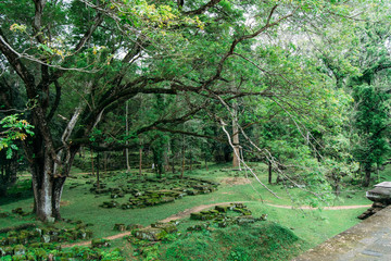 Fototapeta na wymiar Beautiful and colourful forest with many temple rocks at Ankgor Thom in Cambodia - Unesco World Heritage in 1992