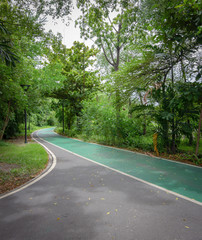 Obraz premium The path for bike riders to see nature in the garden.