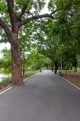 Garden walkways with natural looking trees