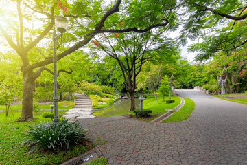Garden walkways surrounded by green trees