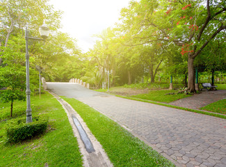 Garden walkways surrounded by green trees