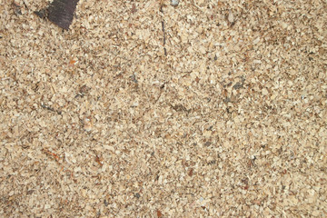 texture of sand