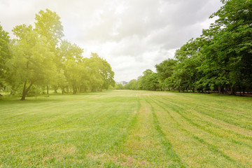 The lawn in the garden is bright green. On a cloudy day