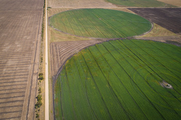 irrigation circles of crops