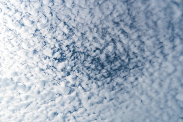 Obraz premium Background A lot of beautiful Small Fluffy Clouds with blue sky in the morning