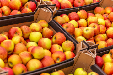 Red juicy apples in containers in a supermarket. Space for text.
