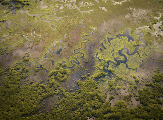 Creek and mangroves from the air