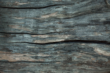 Texture of the old vintage wooden board