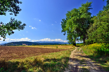 Obraz premium Rural road with fields and mountains in background.
