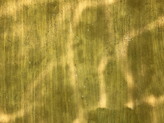 texture wall with light reflection.