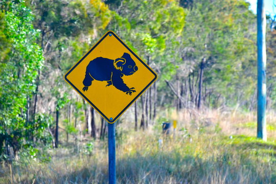 コアラ注意の道路標識
