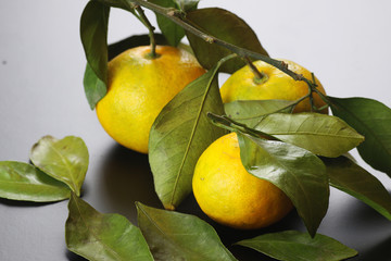 mandarin fruit isolate black