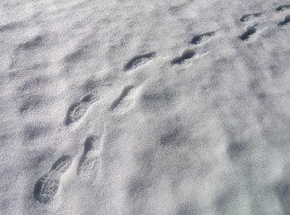 Footprints on the snow surface
