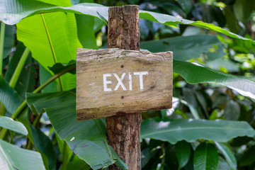 Text exit on a wooden board in a rainforest jungle of tropical Bali island, Indonesia. Exit wooden sign inscription in the asian tropics.