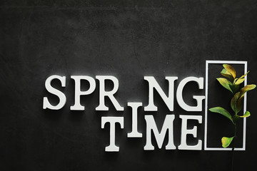 Poster concept. On a dark background the inscription about springtime.