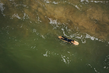 Aerial view on surfer in the sea, surfer catching waves in baltic sea.