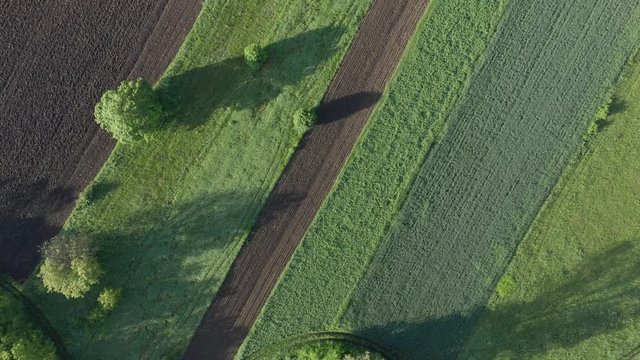 Above agricultural land bordered with tress 4K drone footage