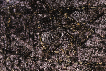 Detail of a brown trunk