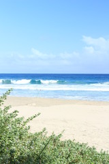 伊豆下田　台風前の大波の入田浜