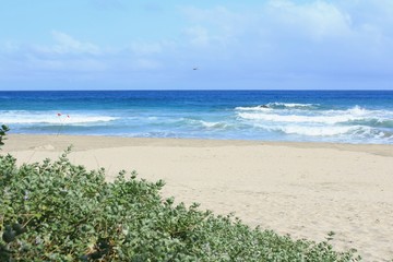 伊豆下田　台風前の大波の入田浜