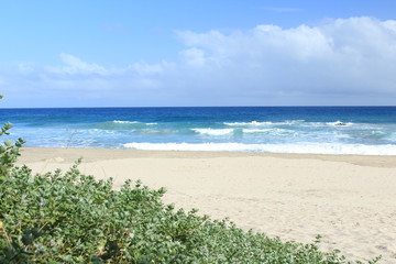 伊豆下田　台風前の大波の入田浜