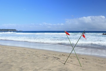 伊豆下田　台風前の大波の入田浜