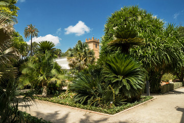 Fototapeta premium Valencia, Spain-07/19/2019: Jardin Botanico de la Universidad de Valencia, The Botanical Garden of the University of Valencia was founded in 1567 for the study of medicinal plants. Only For Editorial 
