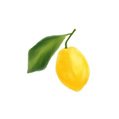 Lemon. Illustration of a bright yellow lemon on a branch with a leaf on a white background.