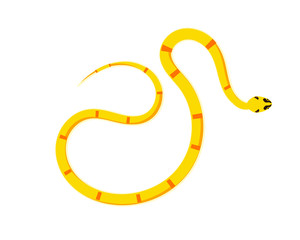Snake Isolated on White Background, Great for book education, tattoo, sticker and design element! 