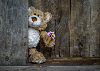 ein Teddy schaut hinter einer Holzwand vor und hat einen Blumenstrauß in der Hand