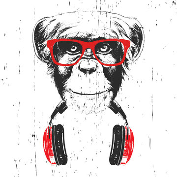 Portrait of Monkey with glasses and headphones. Hand-drawn illustration. T-shirt design. Vector