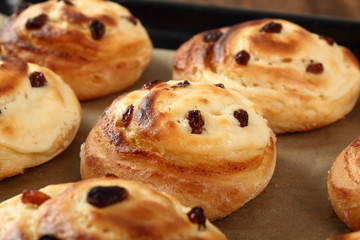 Bread Roll with raisins and cottage cheese filling