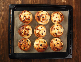 Bread Roll with raisins and cottage cheese filling