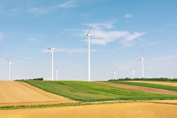 View of a wind power plant on a background of blue sky and fields with grain crops. The concept of environmental electricity production using a wind farm.
