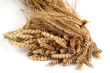 Wheat, Rye Ears
