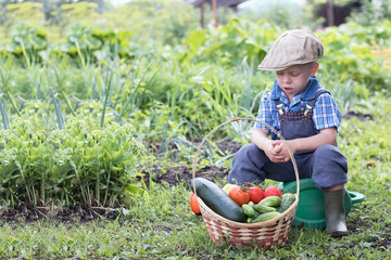 Fototapeta premium Little farm boy in the garden with a basket of vegetables. A small child sitting in the garden sitting on a watering can on a beautiful Sunny day. Boy outdoors in the garden.